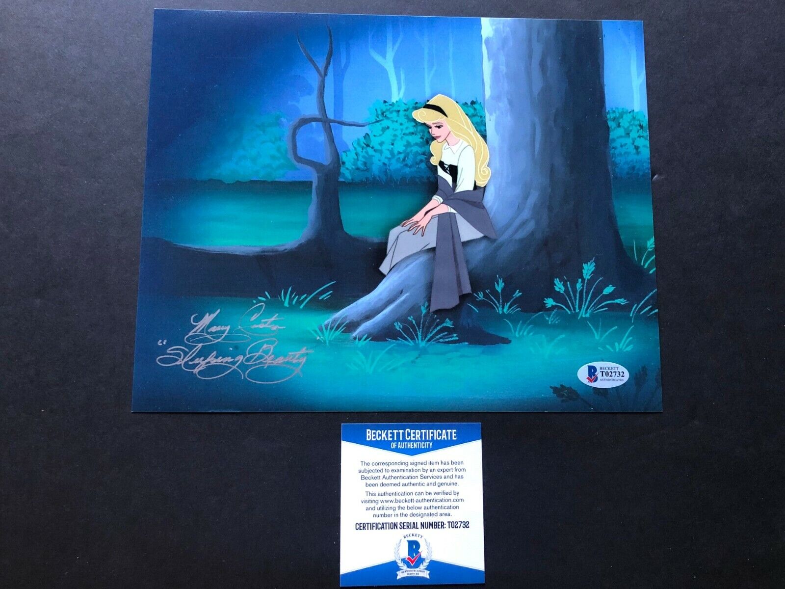 Mary Costa Rare! signed autographed Sleeping Beauty 8x10 Photo Poster painting Beckett BAS coa