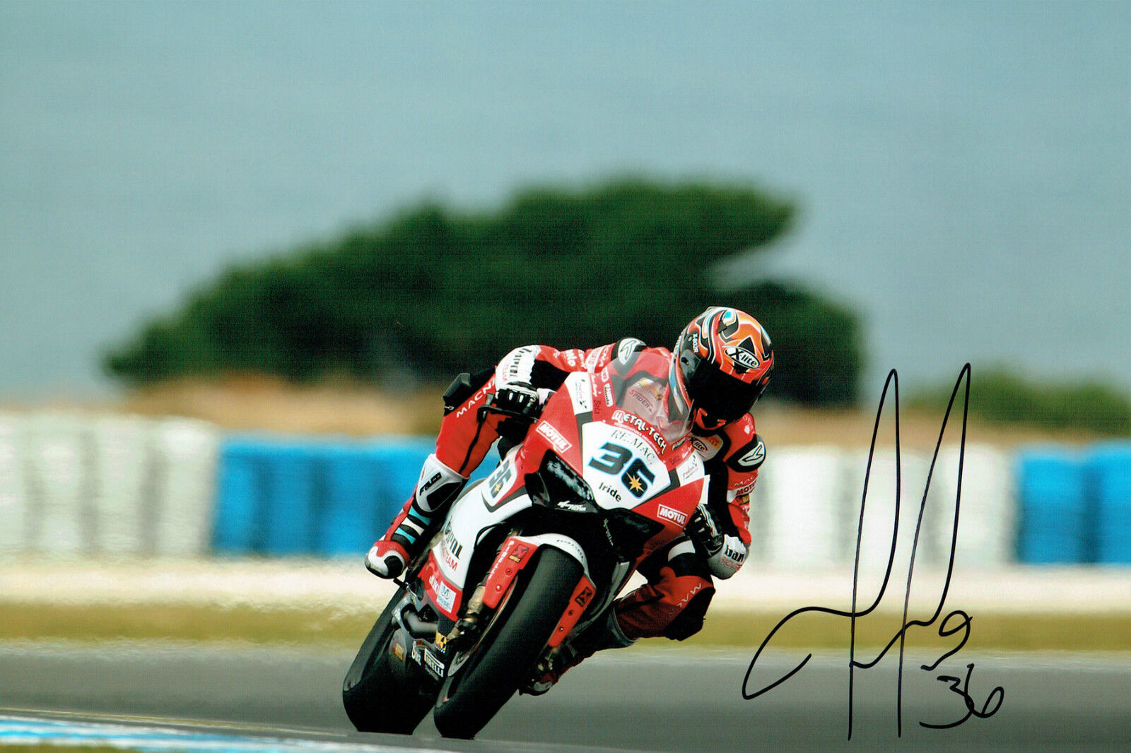 Leandro MERCADO SIGNED Autograph WSBK 12x8 Photo Poster painting Ducati Barni Racing AFTAL COA