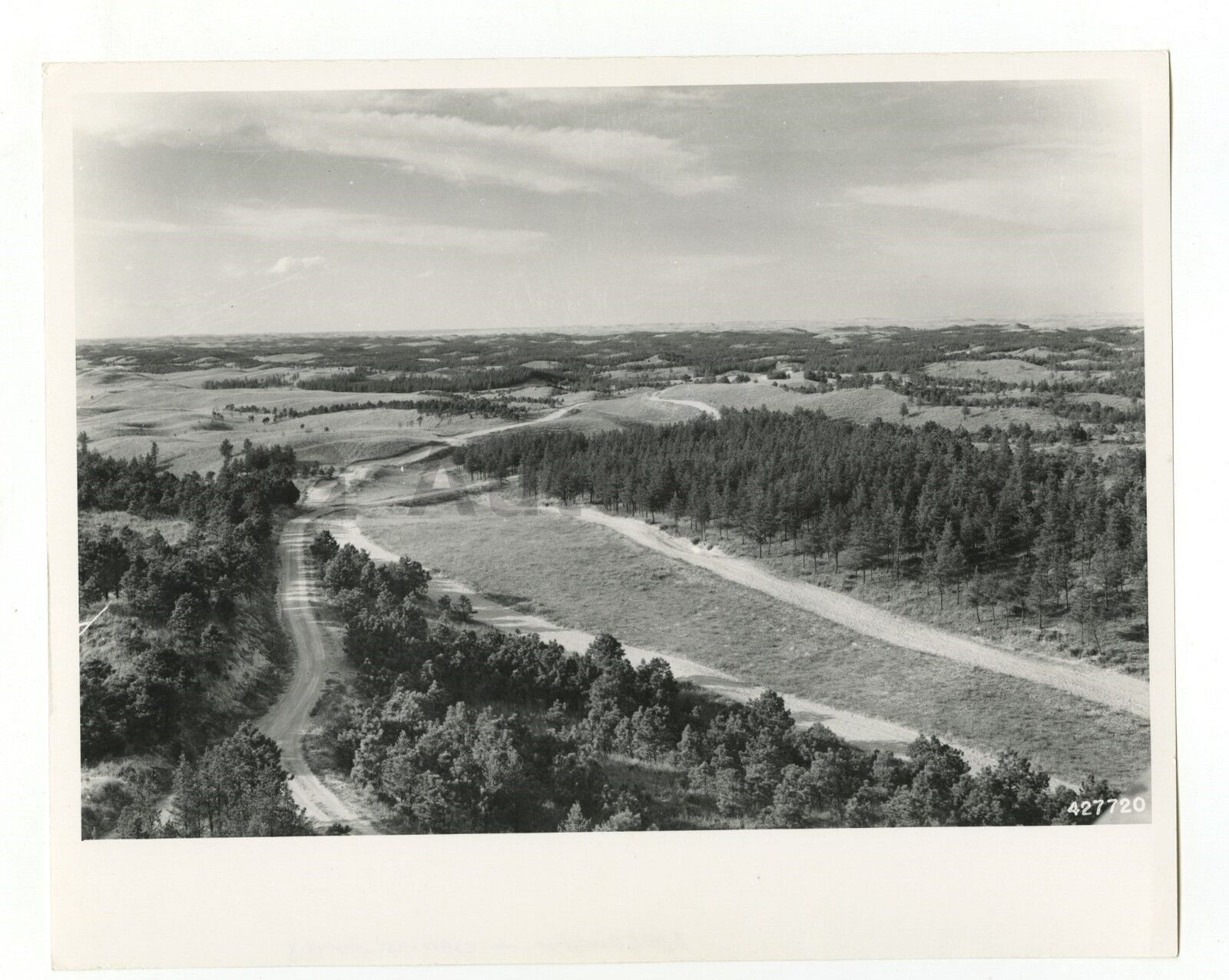 Nebraska History - Vintage 8x10 Photo Poster painting by Jay Higgins - National Forest, 1943