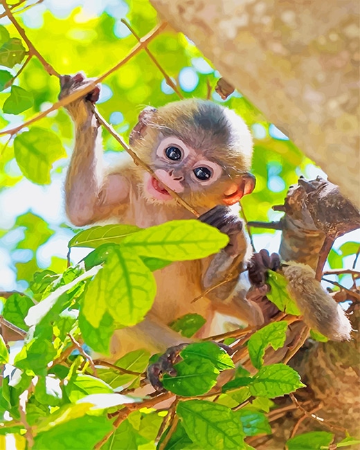 

Cute Baby Monkey – Paint By Numbers - 40*50CM, 501 Original