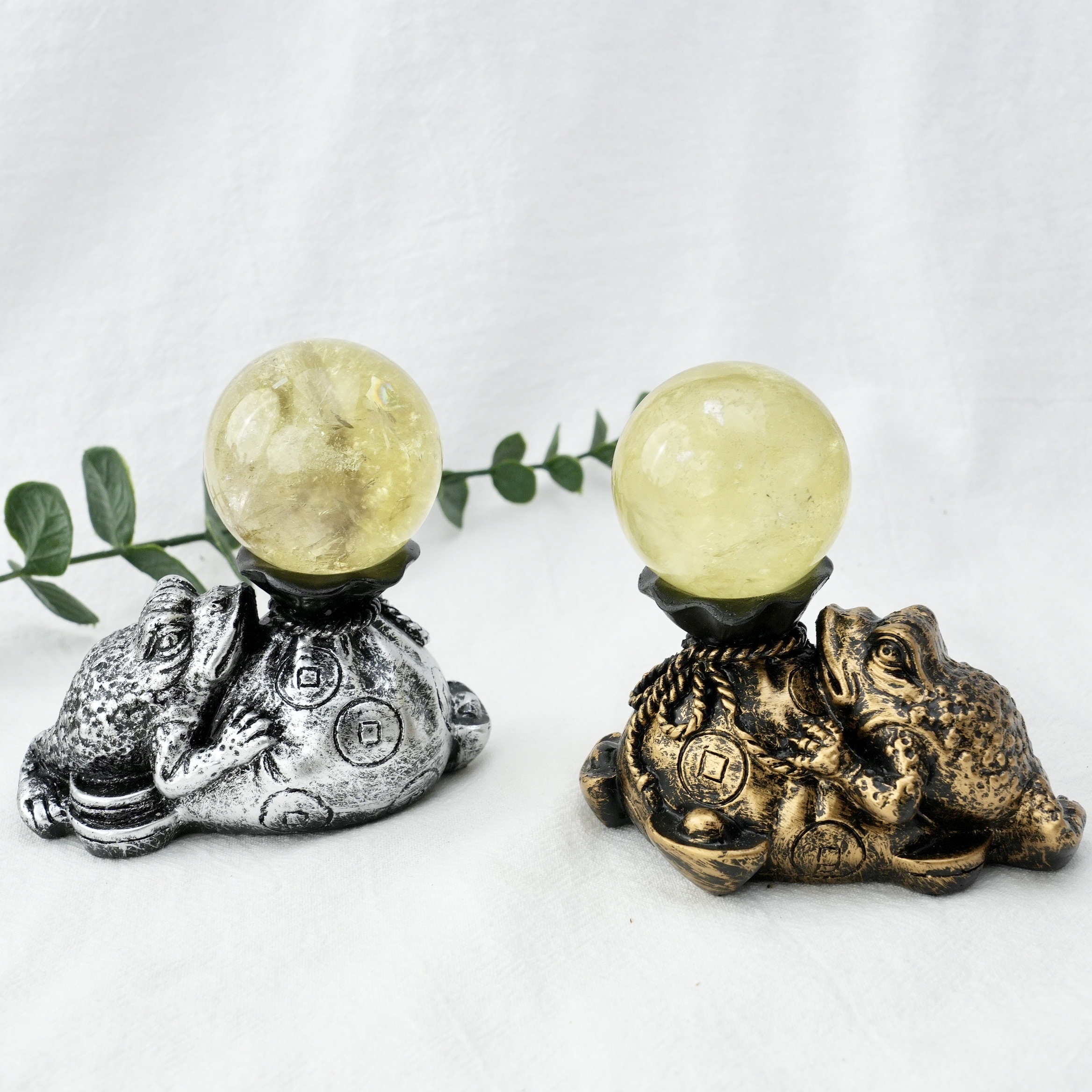 Golden Toad Holder