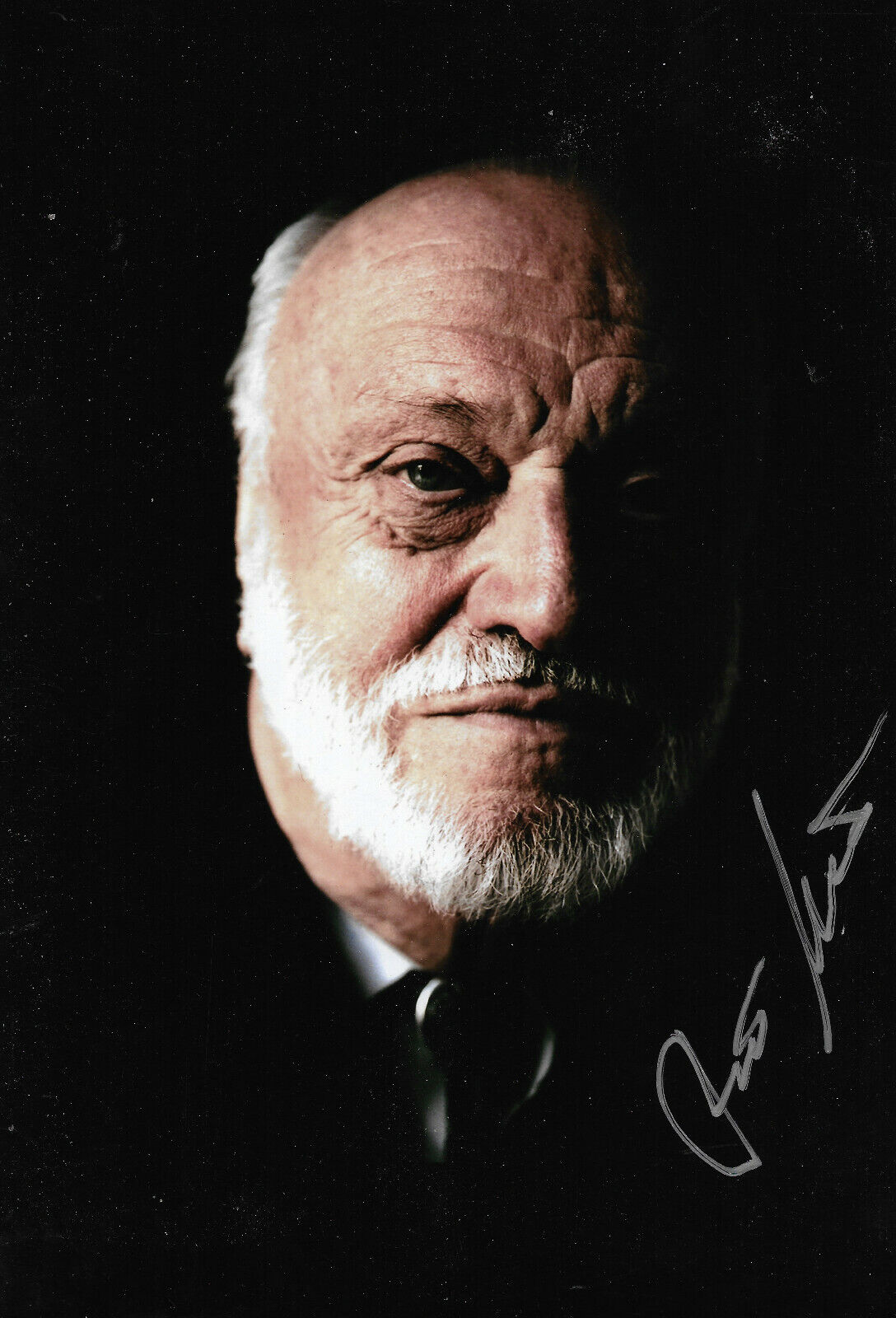 Kurt Masur Conductor signed 8x12 inch Photo Poster painting autograph