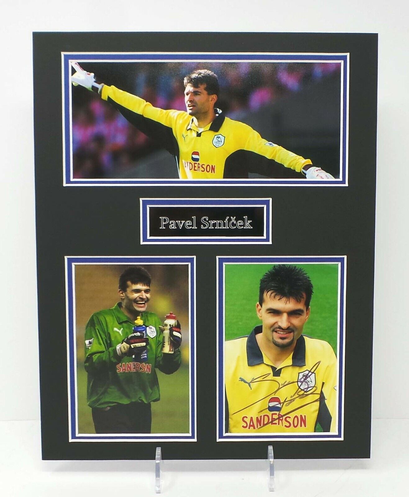 Pavel SRNICEK Signed Mounted Sheffield Wednesday RARE Photo Poster painting Display AFTAL RD COA