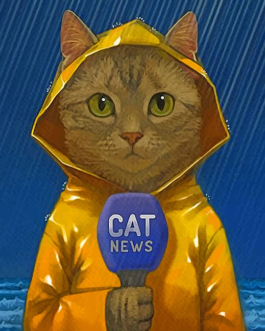 

Journalist Cat – Paint By Numbers - 40*50CM, 501 Original