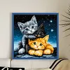 Magic Cat-11CT Stamped Cross Stitch 40*40cm tapestrymarket