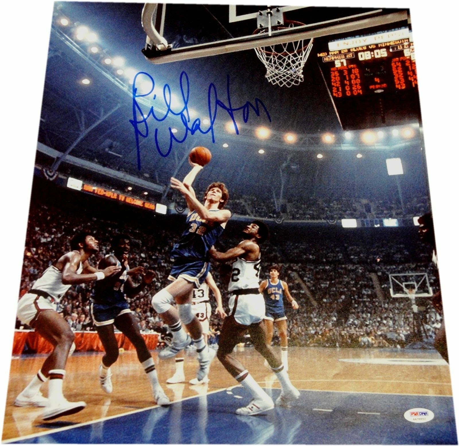 Bill Walton Hand Signed Autographed 16x20 Photo Poster painting UCLA Bruins Clippers PSA/DNA