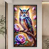 (40*70cm)Owl - Full Round Drill Diamond Painting