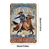Lone Star State Cowboy - Vintage Metal Signs(8*12Inch) - Cowboy