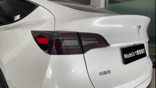 Model 3&Y LED Sequential Eagle Eye Tail Lights