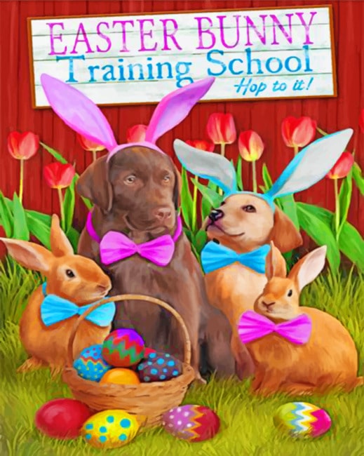 

Easter Bunny Training School – Paint By Numbers - 40*50CM, 501 Original