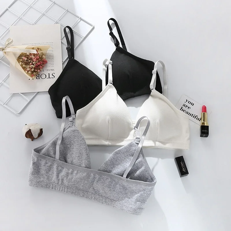 Triangle Cup Bras Women Skin-Friendly Pad-Style Wrapped Underwear Push-up Comfort Bralette Seamless Lingerie soutien gorge