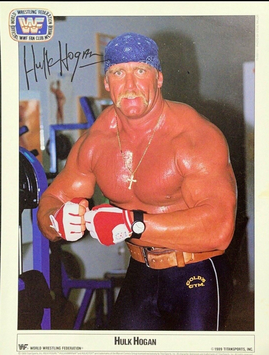 WWE HULK HOGAN 1989 OFFICIAL LICENSED 8.5X11 ORIGINAL FACSIMILE PROMO Photo Poster painting 5