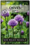 5 Herb Seeds Mix Package Collection Genovese Basil, Chives, Cilantro, Italian Parsley, and Oregano Seeds