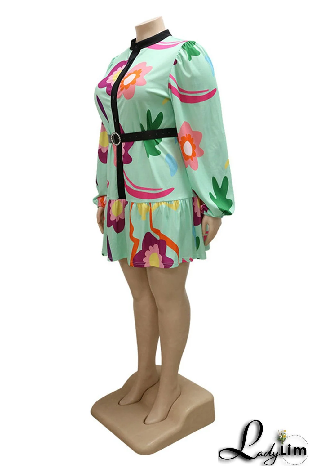 Green Fashion Casual Print Patchwork With Belt O Neck Long Sleeve Plus Size Dresses