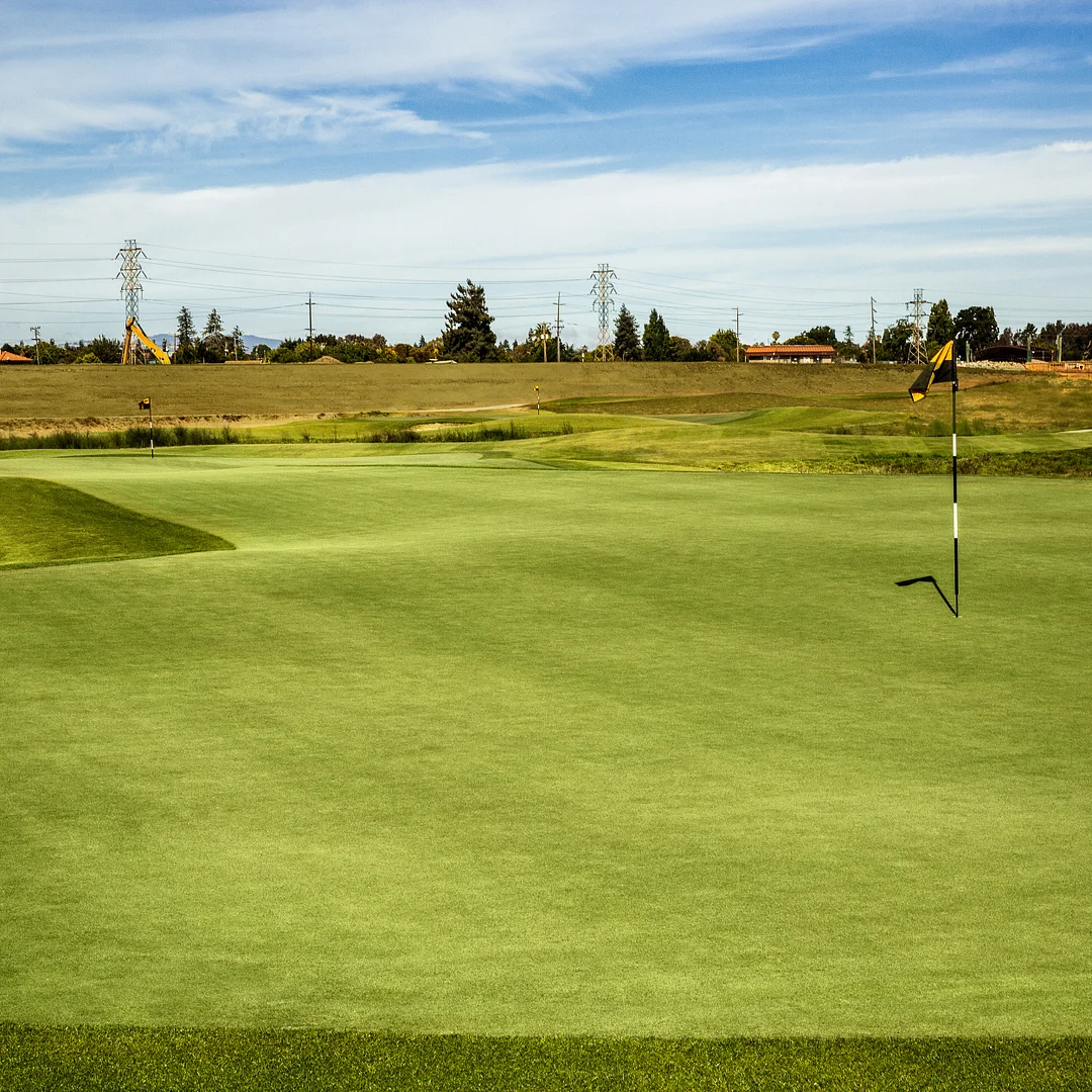 Pure Select Creeping Bent Grass