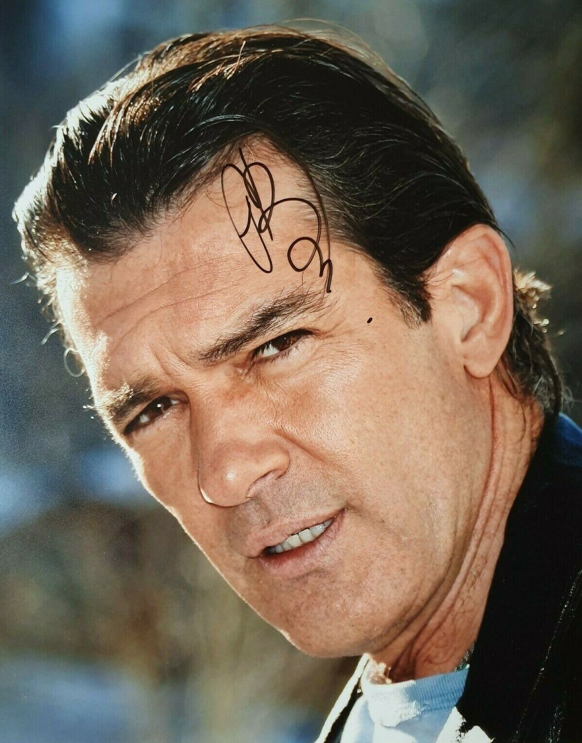 ANTONIO BANDERAS In-Person Signed Autographed Photo Poster painting RACC COA Dolor y gloria