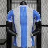 2024 Argentina Player Version Special Soccer Jersey