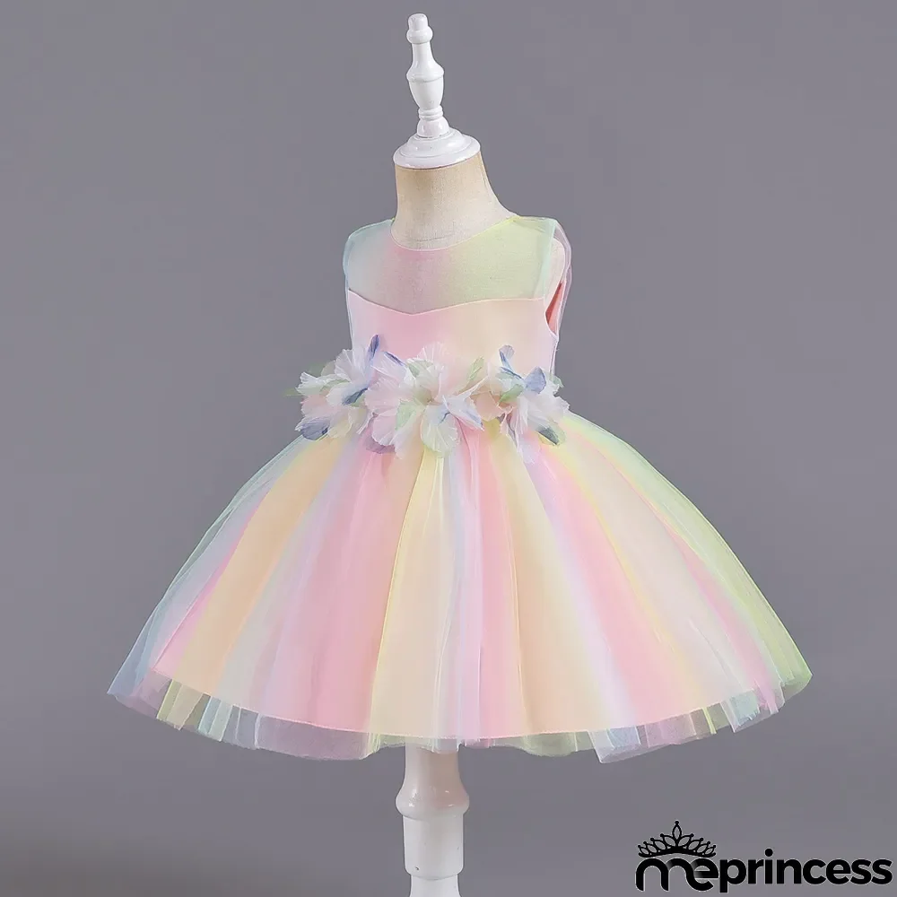 Infant and Toddler Dresses Floral Dress Multi-Color Mesh Pouf Princess Dress