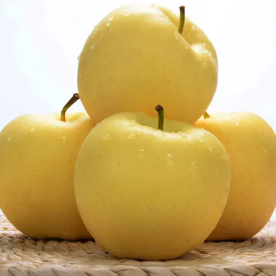 Golden Apple Seeds