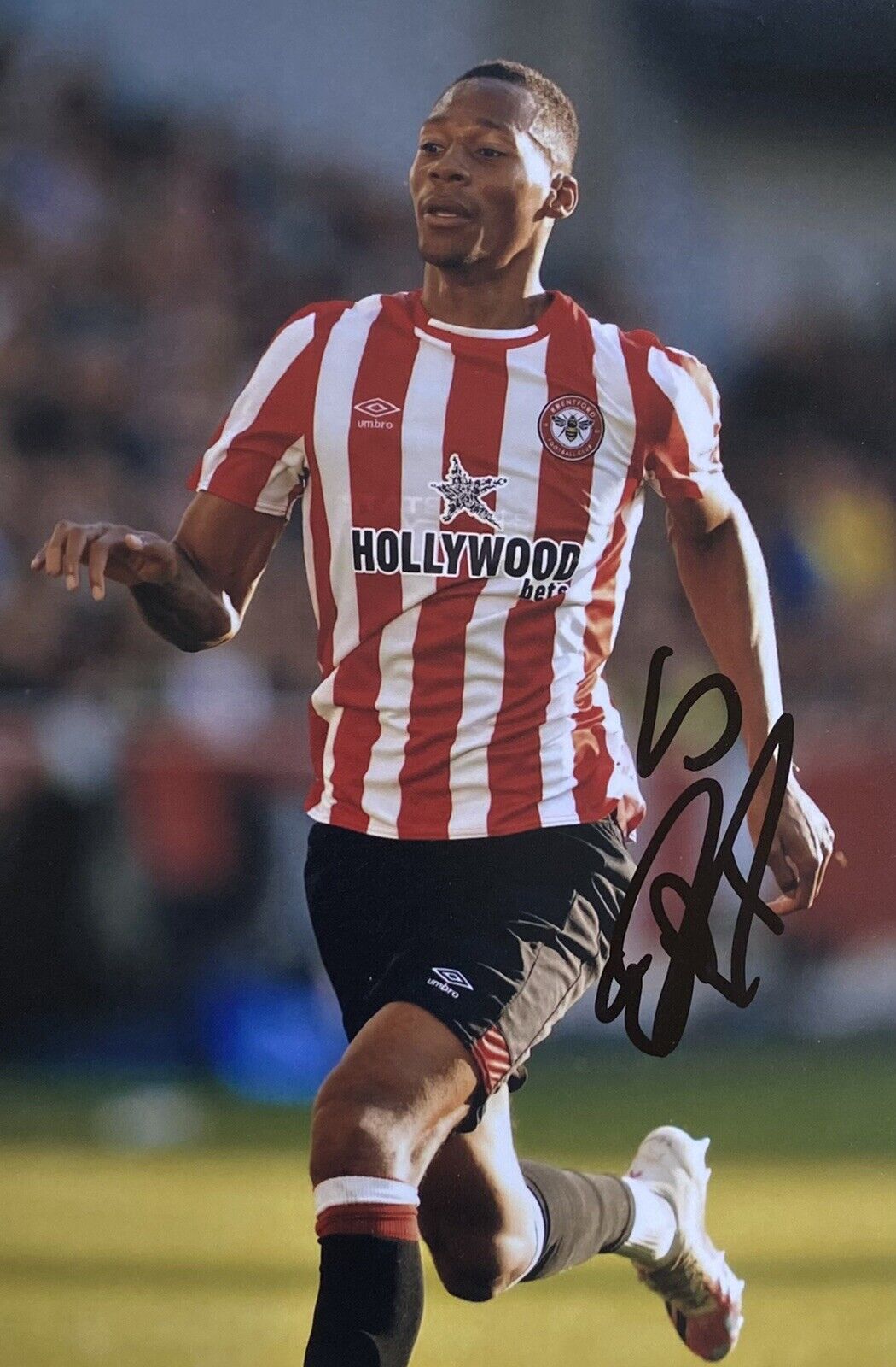 Ethan Pinnock Genuine Hand Signed Brentford 6X4 Photo Poster painting