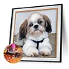 5D DIY Diamond Painting Dog Cross Stitch Embroidery Wall Art Needlework (CQ409