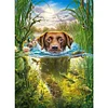 (Big Size) Swimming Dog - 11CT Stamped Cross Stitch 50*65cm/19.69*25.59in