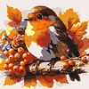 Framed Bluebird-Paint By Numbers Acrylic Painting 20*20CM With Color Box 3ML(12Colors)