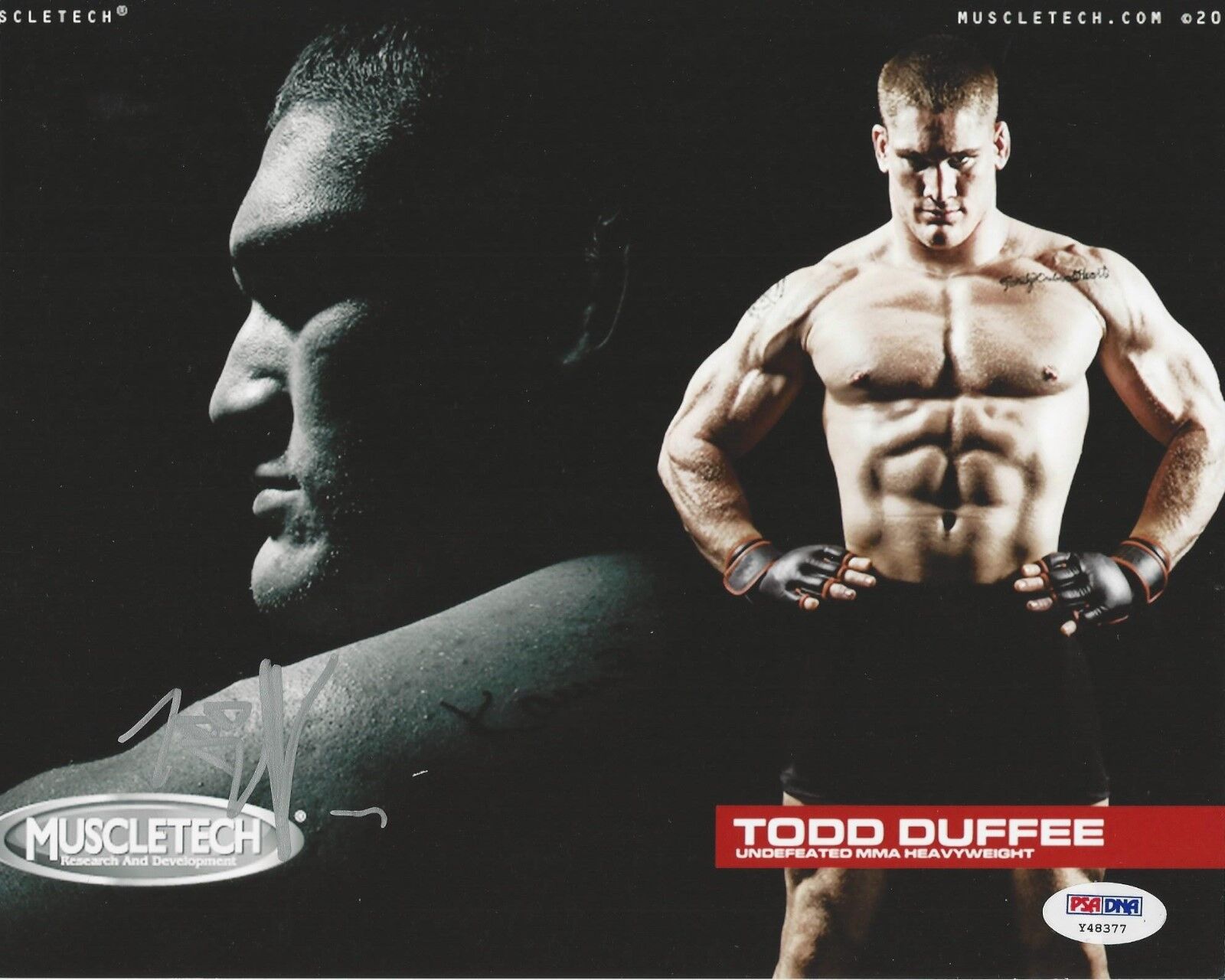 Todd Duffee UFC Fighter signed 8x10 Photo Poster painting PSA/DNA # Y48377