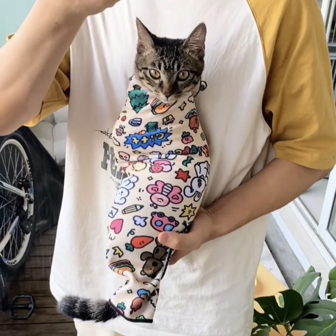 5 Ways to Make Cat Nail Trimming Less Stressful (Using a Grooming Wrap)