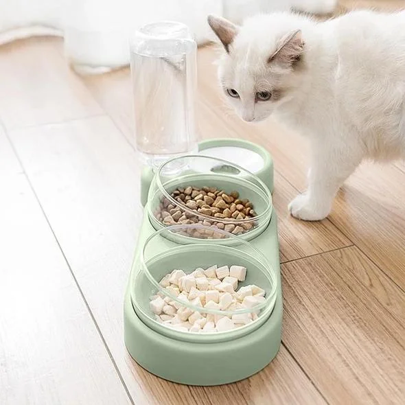 Dog Cat Bowl Feeder