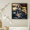 (45*45cm)Cat Reflection Tiger - Round AB Drill Diamond Painting