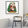 >SALE<Santa Claus 5D DIY Diamond Painting Special-shaped Partial Drill Decor (k116)