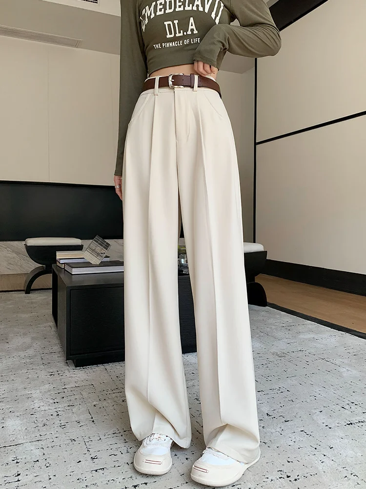 Toloer Narrow Version Wide Leg Pants Female Spring And Summer 2024 New High Waist Hanging Feeling Straight Tube Small Senior Sense Pressure Pleated Suit Pants-Outfit Ideas