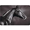Horse - Metal Tin Signs(12*16Inch) - Animal