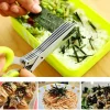 5 Blade Kitchen Salad Scissors (🔥 Hot Sale-50% Off 🔥)