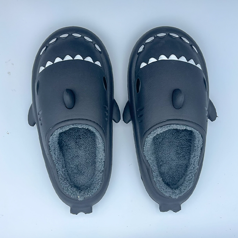 the cloud sharks winter