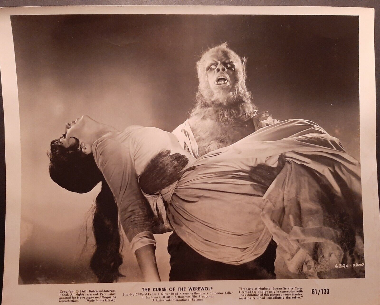 Oliver Reed:(Curse Of The Werewolf) Orig,Hammer Films Photo Poster painting *