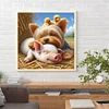 Diamond Painting -DIY Full Square Drill Dog Pig(45x45cm)