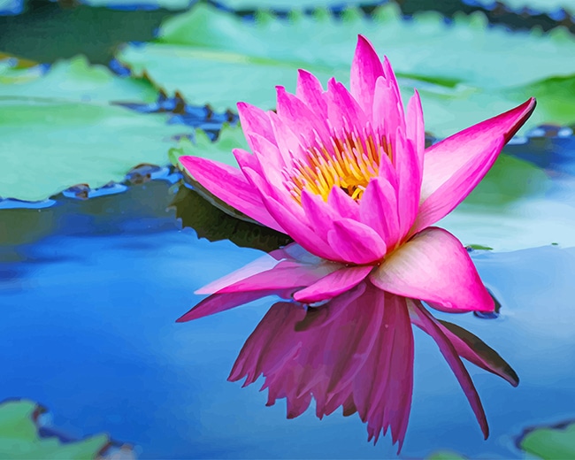 

Pink Lotus – Paint By Numbers - 40*50CM, 501 Original