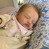 Babiesprincess Lifelike Reborn Baby Doll, Babiesprincess