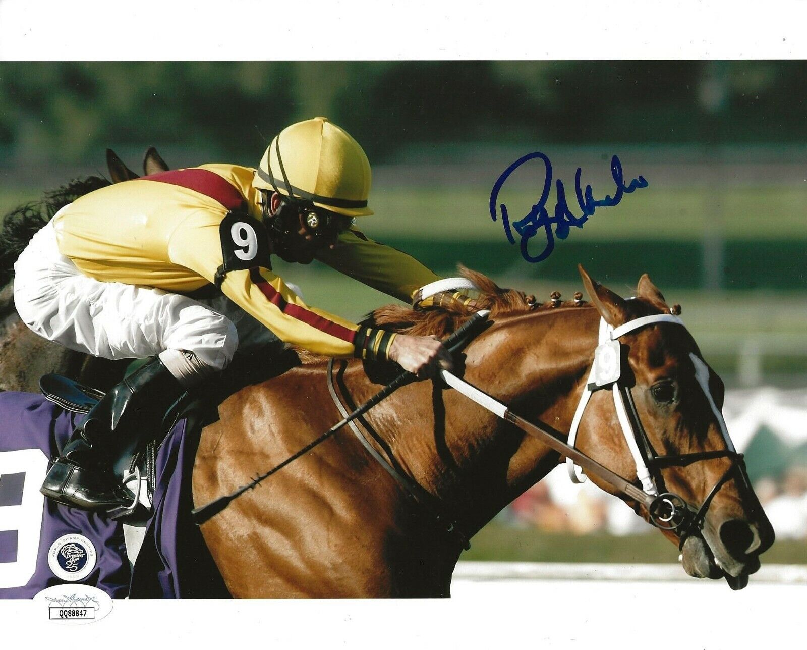 Robby Albarado signed Jockey 8x10 Photo Poster painting autographed 3 JSA Certified