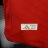 24/25 Player Benfica Soccer Jersey Home