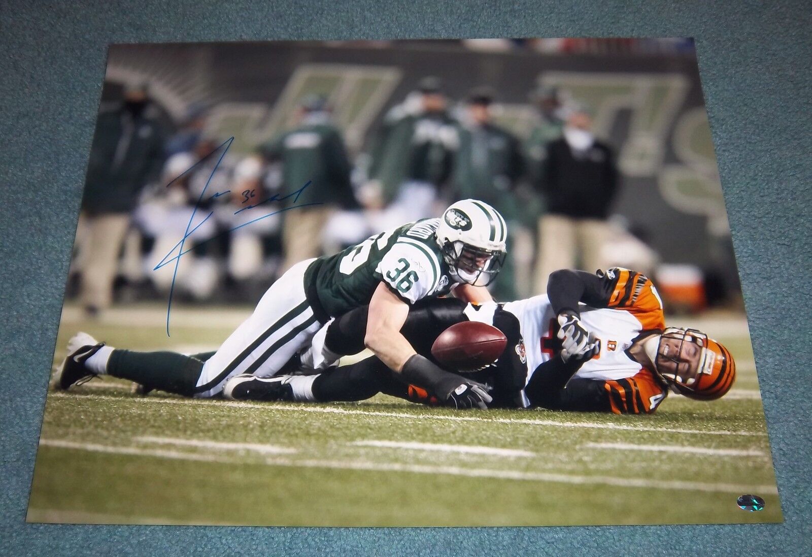 New York Jets Jim Leonhard Signed Autographed 16x20 Photo Poster painting Wisconsin B