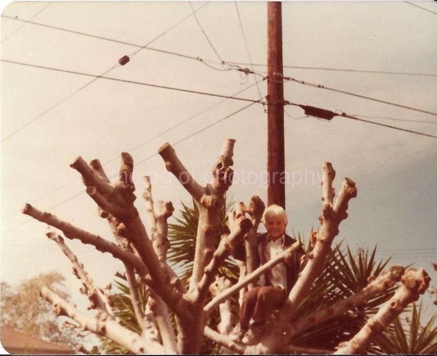 Casual Portrait With Wires And Branches FOUND Photo Poster paintingGRAPH Color VINTAGE 06 8 I