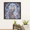DIY Partial Special Shaped Drill Diamond Painting-Owl