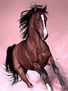 Horse | Full Round/square Diamond Painting Kits | 50x70cm