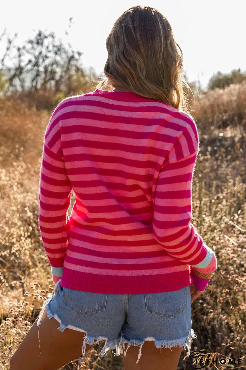 Rose Striped Long Sleeve Pullover Sweater | IFYHOME