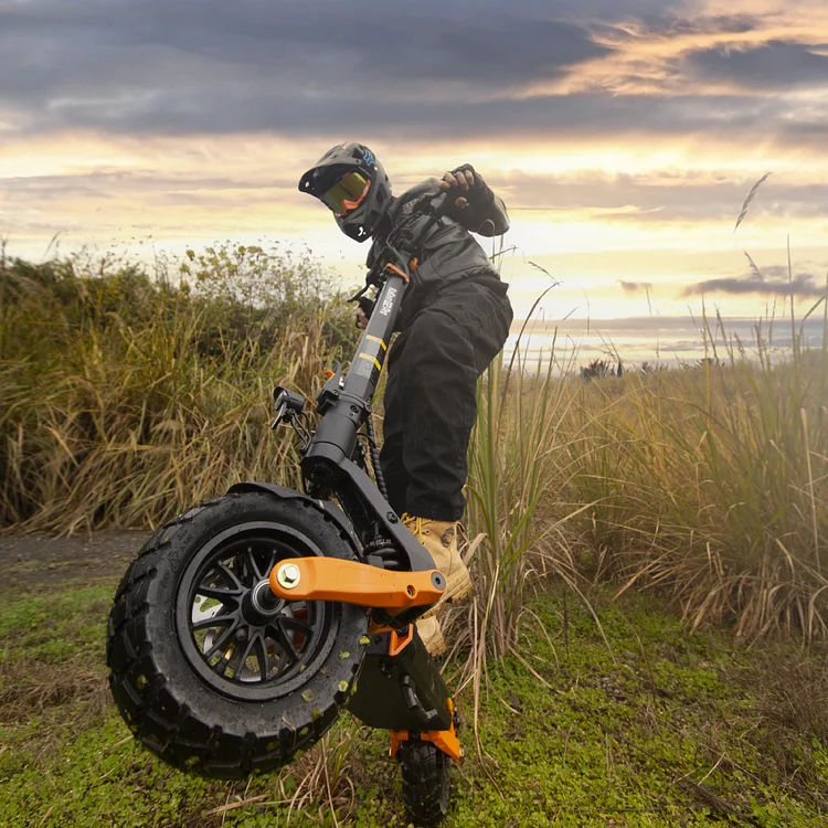 KUKIRIN G2 Pro Electric Scooter | 748WH Power | 25KM/H Max Speed