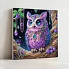 (Pre-Framed)Owl-Special Shape Diamond Painting Kit(25x25cm)