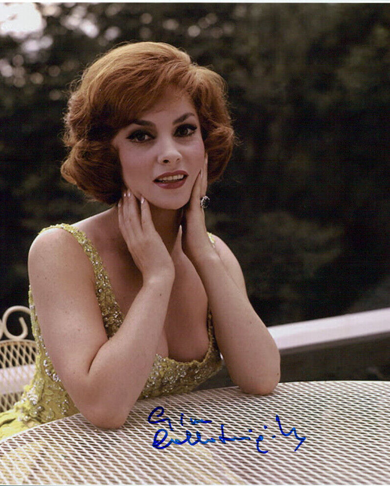 Gina Lollobrigida signed authentic 8x10 Photo Poster painting COA